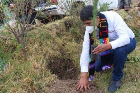 Huancavelica Minagri pone en marcha proyecto de reforestación en