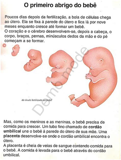 Da Onde Vem Os Bebês - JORNAL R 7ª: DE ONDE VEM OS BEBÊS?