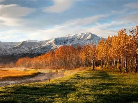 Alaska Tierra De Osos Y Paisajes Majestuosos EnViajes