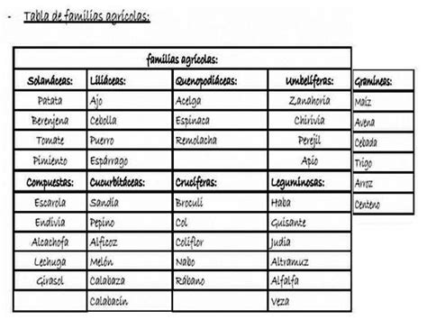 Clasificaci N De Las Hortalizas Por Familias Hortaliza Tipos De