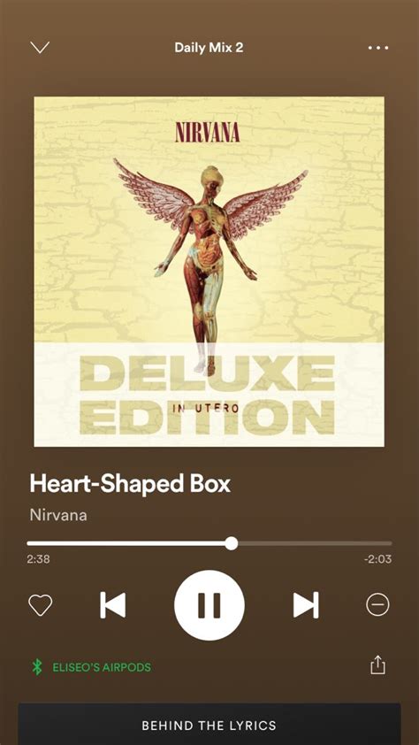 Heart Shaped Box Nirvana Heart Shaped Box Nirvana Songs Nirvana Album