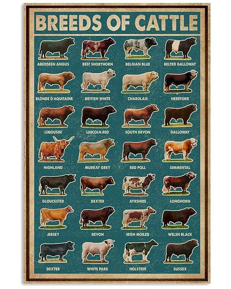 Retro Green Breeds Of Cattle Poster In 2024 Cattle