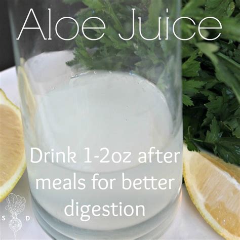 Aloe Vera Juice Recipe » The Seasonal Diet