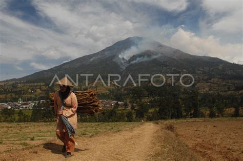 Kebakaran Hutan Gunung Sumbing Membesar Antara Foto