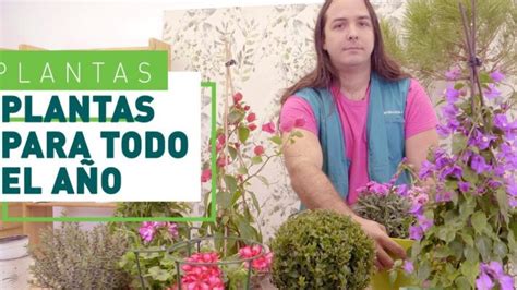 Las mejores opciones de flores perennes resistentes al frío para