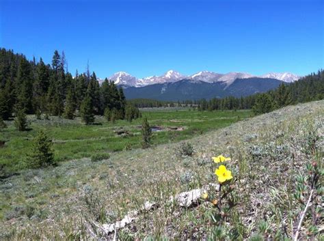 Taylor Park Natural Landmarks Colorado Park
