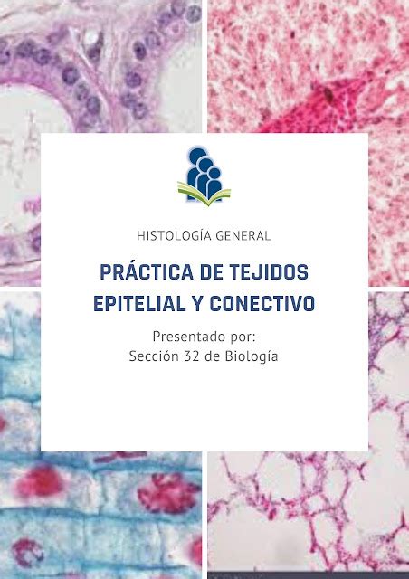 Práctica De Tejidos Epitelial Y Conectivo