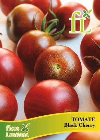 Tomate Black Cherry Semente Comprar Online No Hortaria