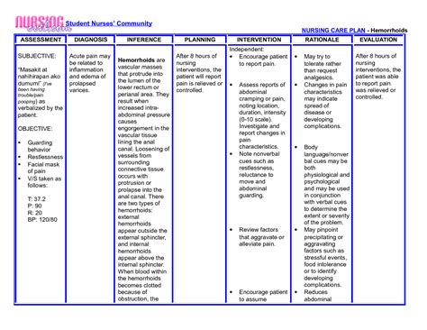 Good Nursing Home Care Plans Examples Sample Nursing Care Plan For Copd