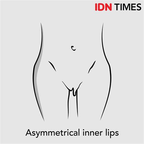 Inilah 7 Macam Bentuk Vagina Pada Setiap Wanita