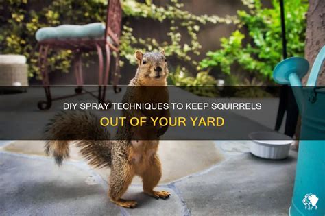 Diy Spray Techniques To Keep Squirrels Out Of Your Yard Petshun