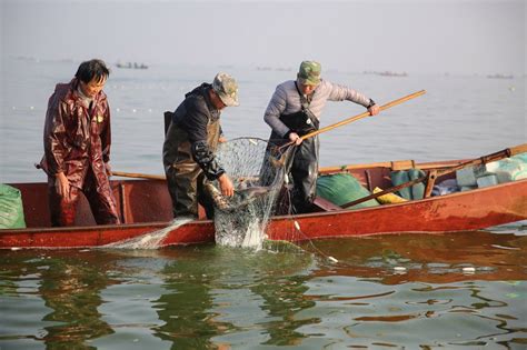 渔民捕鱼高清图片 图库 五毛网