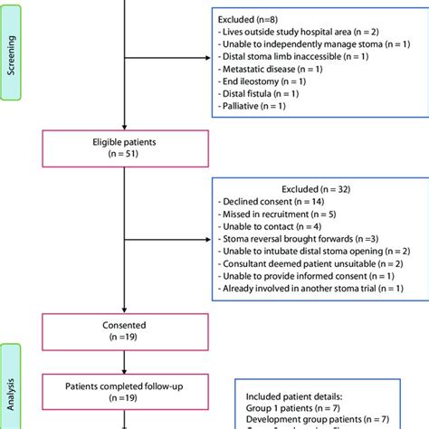 Flow Diagram Of Feasibility Study Patients Download Scientific Diagram