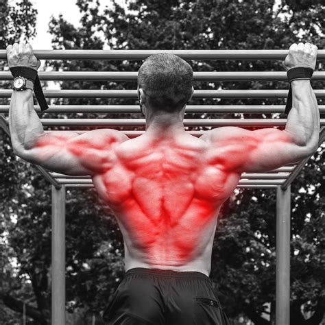 Calisthenics Back Workout RecognizedReviews