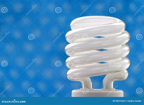 compact fluorescent bulb stock photo image  efficient