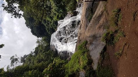 Debengeni Waterfall Magoebaskloof South Africa Top Tips Before You