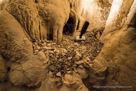 Mitchell Caverns Tour in Mojave National Preserve - California Through ...