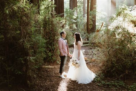 Forest Wedding // 2025 Guide — Elopement Photographer & Guide ...