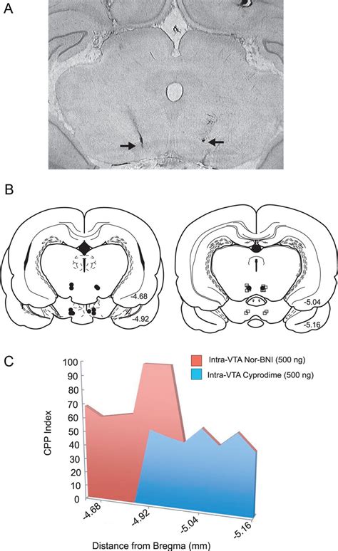 Histological Analysis Of Intra VTA Microinfusion Locations A