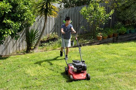 Mowing The Lawn Safely