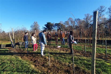 Facultad De Ciencias Agropecuarias Y Forestales UFRO Habilita El