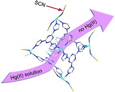 In Situ Large Scale Construction Of Sulfur Functionalized Metalorganic