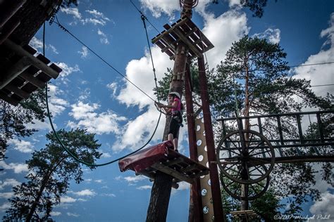 Linolandia Kryspinów Linolandia Park Linowy Kraków Park Linowy