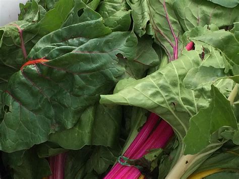 7 Health Benefits Of Chard