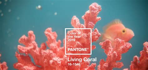 What Is The Pantone Color Of The Year X Rite Blog