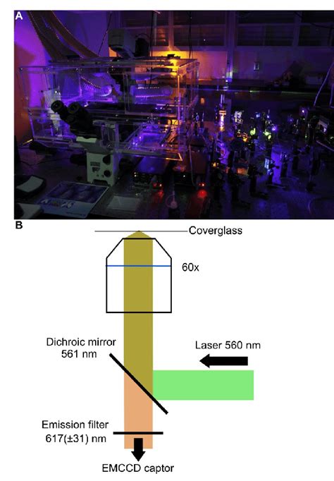 Microscope Setting For Single Molecule Visualization A Photography