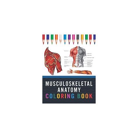 Musculoskeletal Anatomy Coloring Book Now You Can India Ubuy