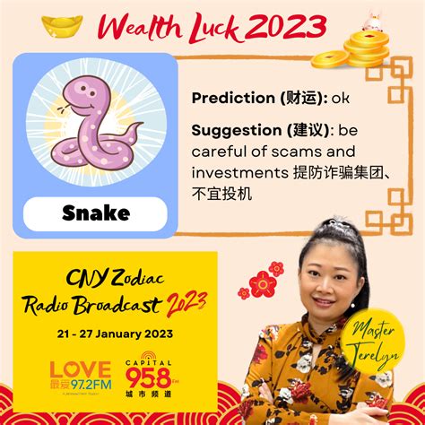 6 snake zodiac wealth luck 2023 | Master Terelyn Academy