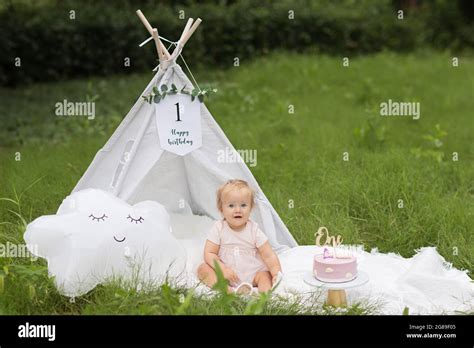 Beautiful photo session set up for baby girl celebrating one year old ...