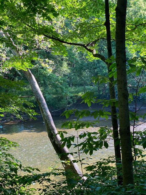 🤩 Found new walking trails at Fort... - James William Jackson