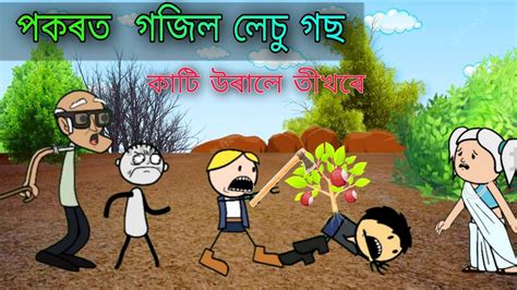 লচ গছ ওলই গল পৰক ত ll তখৰ কটল ll Assamese comedy cartoon video