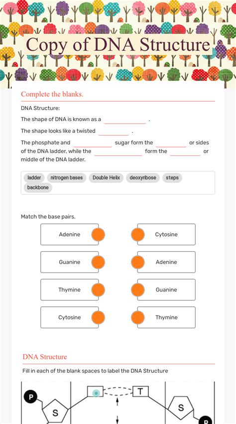 Dna Structure Worksheet Answer Key English Worksheet