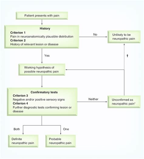 Flow Diagram Of Diagnostic Algorithm For Neuropathic Pain At This