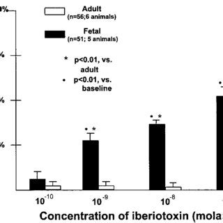 Effects Of K Channel Inhibition With Iberiotoxin A Specific Ca