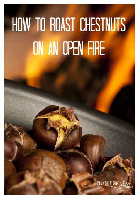 How To Roast Chestnuts On An Open Fire Pink Fortitude Llc