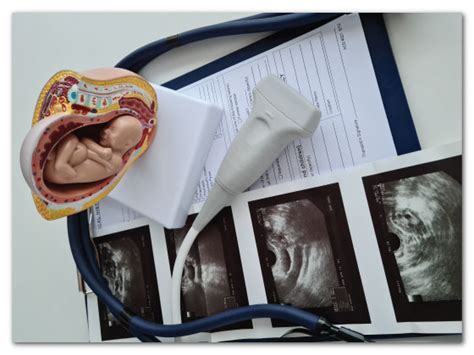 Specialist In Fetal Biophysical Profile Bpp Advanced Diagnostics