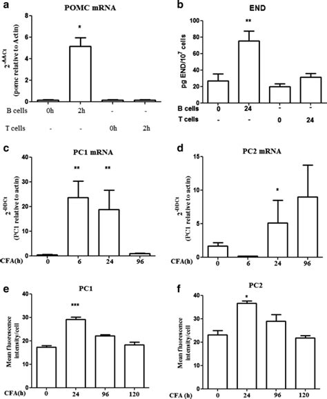 A Expression Of Pomc Exon 23 Mrna In T And B Cells From Inflamed Lns