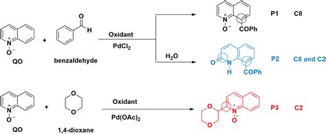 Ch Functionalization Of Quinoline N Oxides Catalyzed By Pd Ii