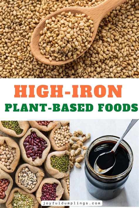 Top 11 Plant Based Foods High In Iron For Vegans And Vegetarians