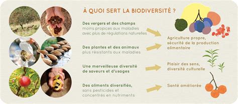 c est quoi la biodiversité fruitière Fruits Oubliés Réseau