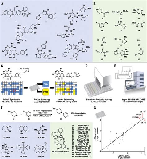 Nanomole Scale High Throughput Chemistry For The Synthesis Of Complex