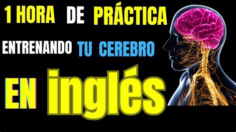 1 HORA DE PRÁCTICA ENTRENANDO TU CEREBRO INGLÉS MUY ÚTILES PARA DOMINAR