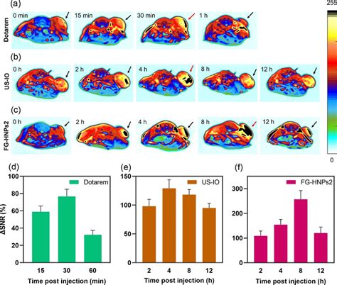 Ac In Vivo T Weighted Mr Images Of Ct Tumor Bearing Mice Slice