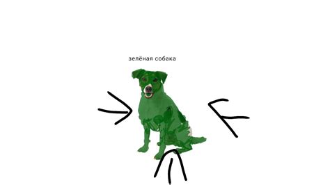 зелёная собака 🐕 #мем #дамка23к - YouTube