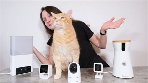 5 Best Pet Cameras for Cats: Unbiased Review - Cats.com