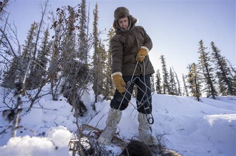 Alaska Eisige Freiheit S05e03 Fallen Und Wieder Aufstehen Winters